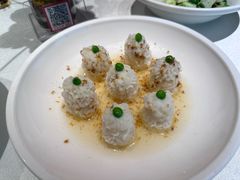 -大鸭梨烤鸭(望京店)