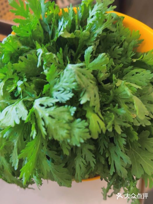 润园四季椰子鸡火锅(南山海岸城店)图片