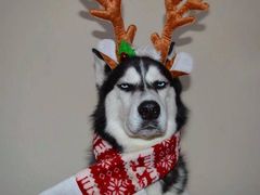 -粤海喜来登酒店·&More聚驿(天河城店)