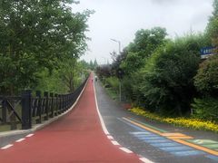 -上海长兴岛郊野公园