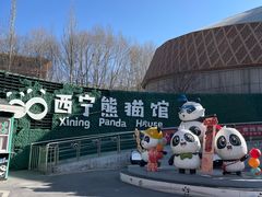-青藏高原野生动物园