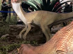 -湖南省地质博物馆