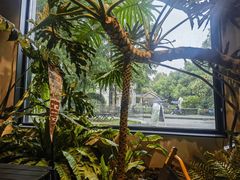 -J Create城市露营咖啡·简餐·宠物(上海动物园店)