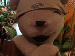 -济州岛泰迪熊博物馆