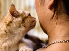 -猫宠乐园·专业洗护