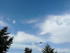 -辽宁大学(崇山校区)