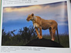 -荔湾区图书馆(周门馆)