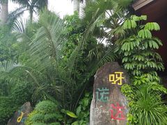 -呀诺达热带雨林