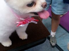 -东浩兰生上海世博展览馆