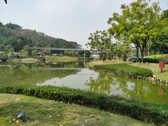 -王借岗森林公园