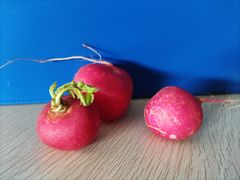 -东川新街市(东川市场店)