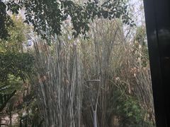 -樾餐厅泰式海鲜火锅(民歌湖店)