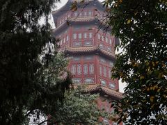 -房湖公园