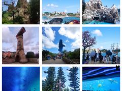 -珠海长隆海洋王国