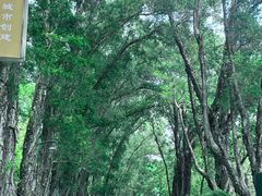 -麓湖高尔夫球俱乐部