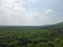 -灵谷景区