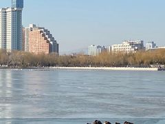 -莲花池公园