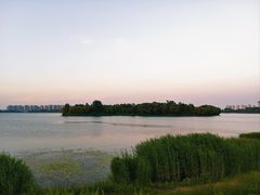 -丁香湖公园