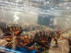 -盒马鲜生(皇庭广场店)
