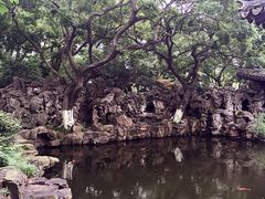 朱家角课植园-朱家角课植园