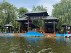 -滕州微山湖红荷湿地景区