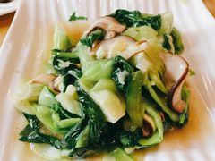 香菇油菜-敦煌达记酱驴肉黄面馆