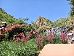 -桑干河大峡谷旅游区