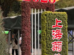 -上海共青森林公园