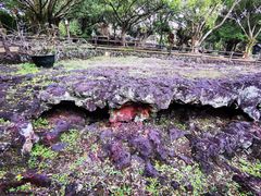 -海口火山口国家地质公园