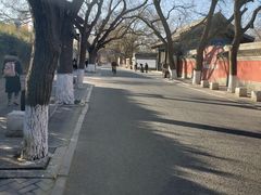-北京国子监胡同