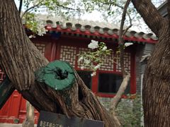 -北京鲁迅博物馆(北京新文化运动纪念馆鲁博馆区)