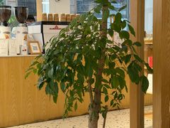 -Cafe on warm(丹霞店)