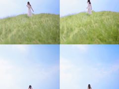 -白鹭湾湿地公园