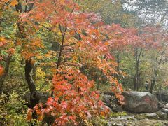-玉渡山自然风景区