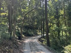 -雁荡山灵峰景区