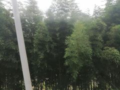 -天目溪漂流