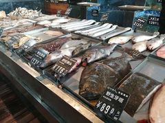 -浩运·海鲜青岛菜·海胆水饺(石老人店)
