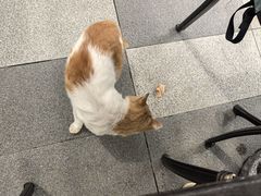 -京北渔家傲