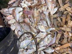 -胜海大排档·海鲜·黄鳝饭(十年老店)