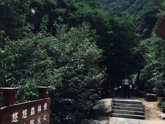 -红崖峡谷景区