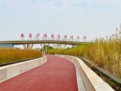 -西安浐灞国家湿地公园