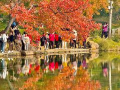 -西山人家·传统苏帮菜·家宴(木渎店)