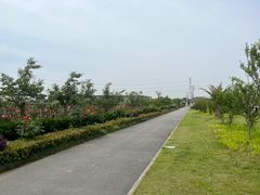-菊园百果园