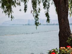 -大理洱海