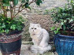 -南塘油赞子(南塘店)