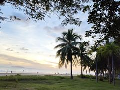 -小海豚•老字号海鲜餐厅(天涯店)