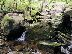 -白云源风景区