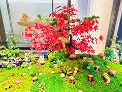 -外滩·云南人家(昆明旗舰店)