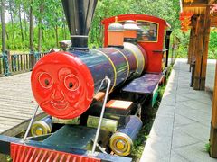 -合肥滨湖国家森林公园