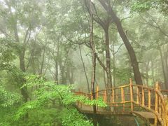 -香炉山国家森林公园
